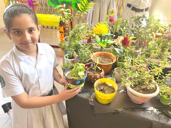 Fairy Garden