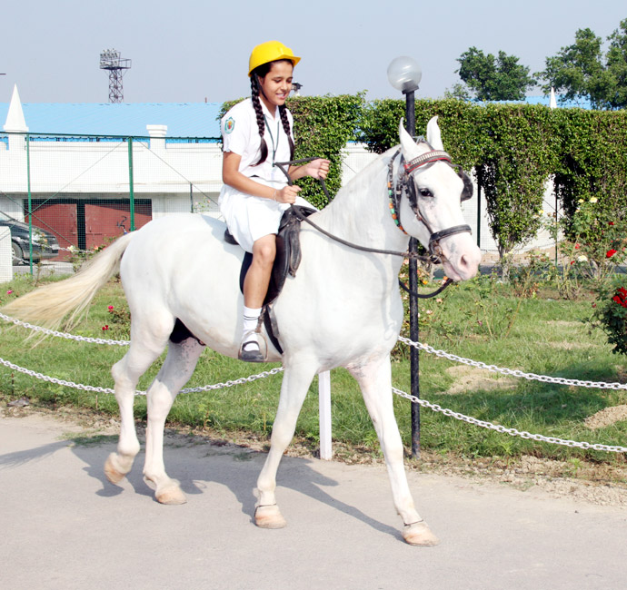 Horse Riding